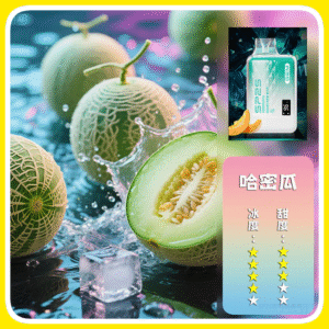 SP2S思博瑞GEM9000口一次性拋棄式電子煙【哈密瓜】